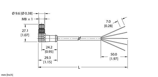 PSWS 4M-1
