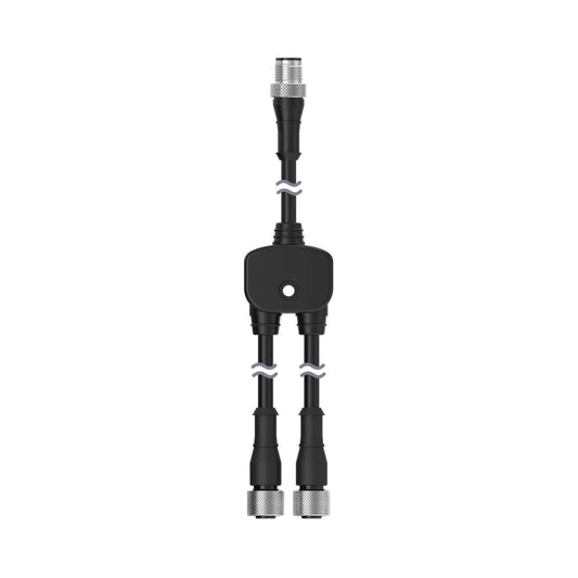 CSB-M1253.3M1281.6