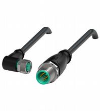 V31-WM-BK0,6M-PUR-U-V1-G