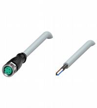 V31-GM-5M-PUR-ABG